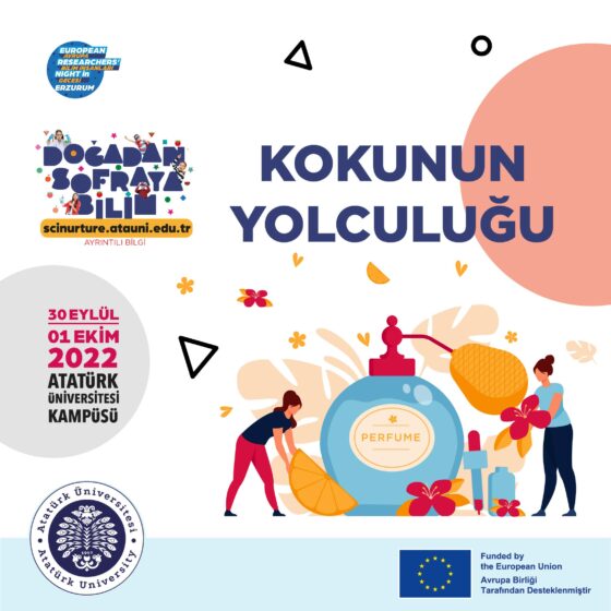 Kokunun Yolculuğu SL22