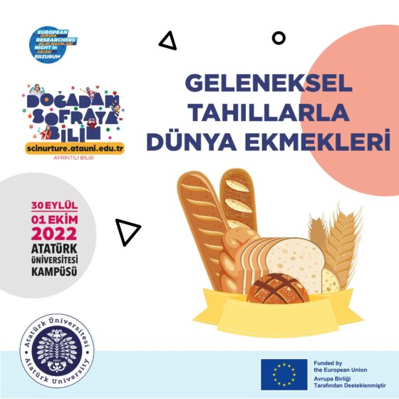 Geleneksel Tahıllarla Dünya Ekmekleri SL27