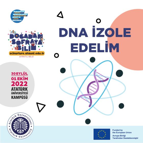 DNA İzole Edelim SL53