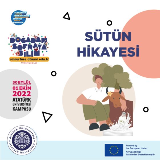 Sütün Hikayesi SL44