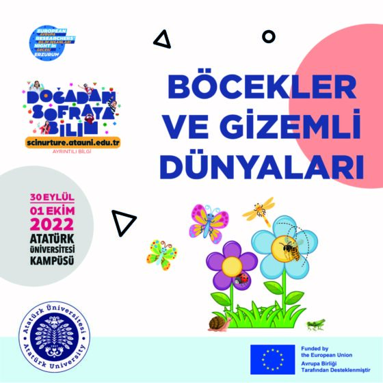 Böcekler ve Gizemli Dünyaları SL03