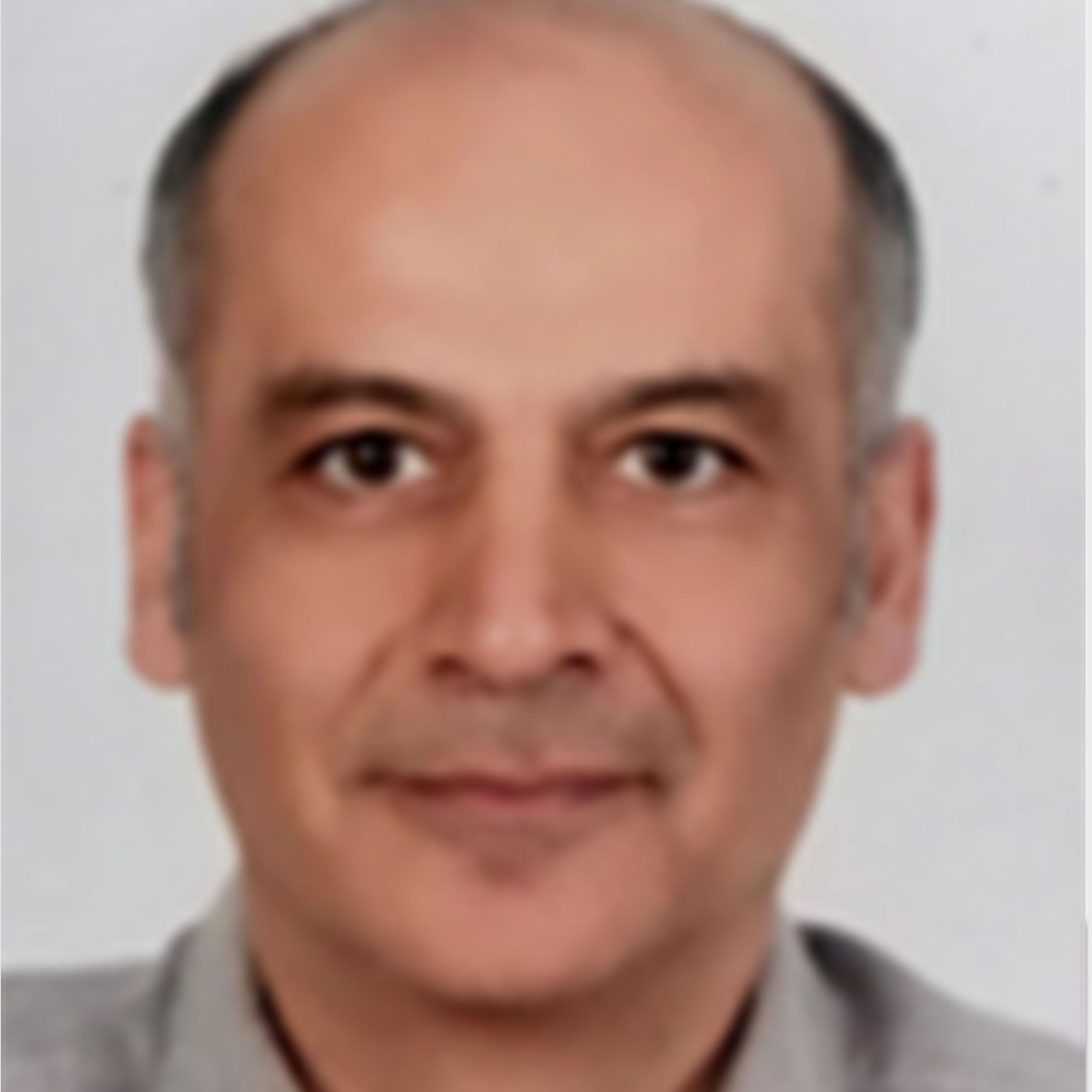 Prof. Dr. Mahmut Sinan TAŞPINAR